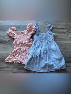 3T Pink Floral Ruffle Top + Light Blue Smocked Sundress Set